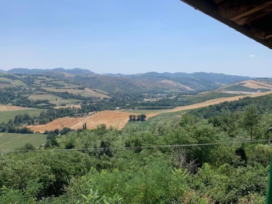 Casale Il Sambuco Sui Colli Bolognesi Villa ซานลาซโซโร ดี ซาเวนา ภายนอก รูปภาพ