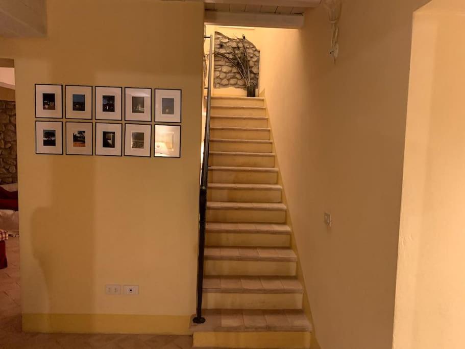 Casale Il Sambuco Sui Colli Bolognesi Villa ซานลาซโซโร ดี ซาเวนา ภายนอก รูปภาพ